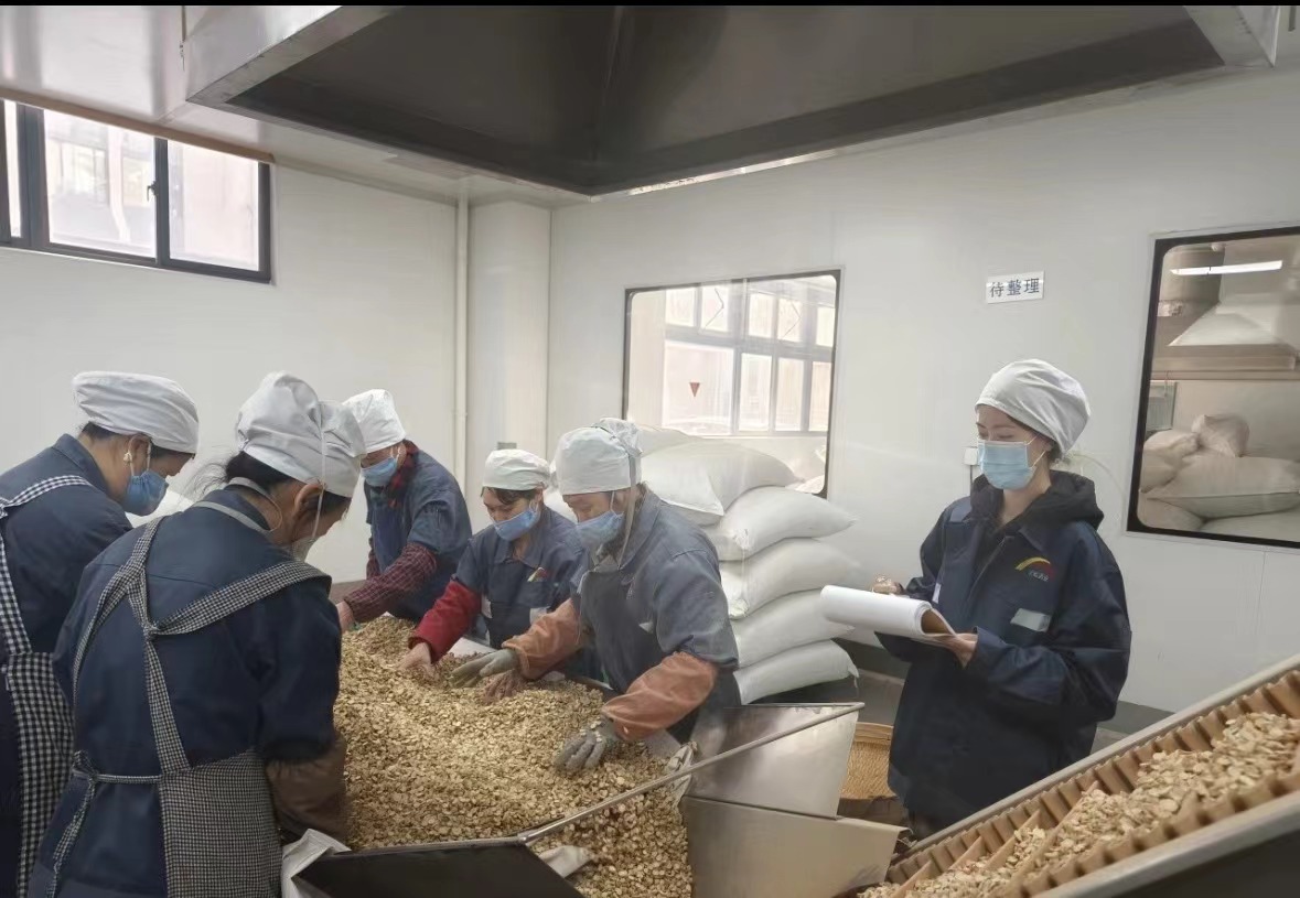 Qingdao Biohoer Biotech Co., Ltd. je uradno začel graditi