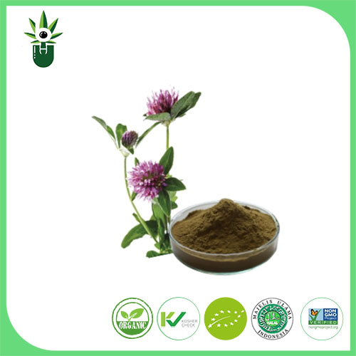 Izvleček Medicago sativa L